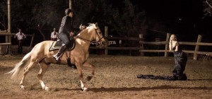2016,CAVALLO,PIACENZA (3).jpg